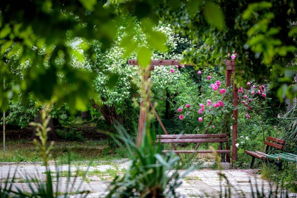 Green Apartment - Top Location, Near City Center! Sofya Dış mekan fotoğraf